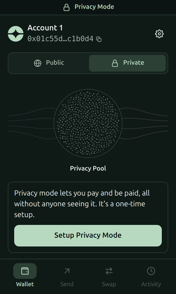 The Private tab before setup: a drawing of the privacy pool, a note that Privacy Mode is a one-time setup, and a Setup Privacy Mode button.